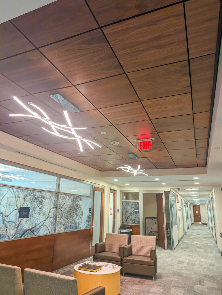 paneeled roof with lights