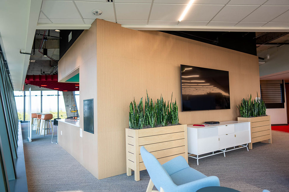 Wood wall panels in office space